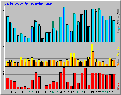 Daily usage for December 2024
