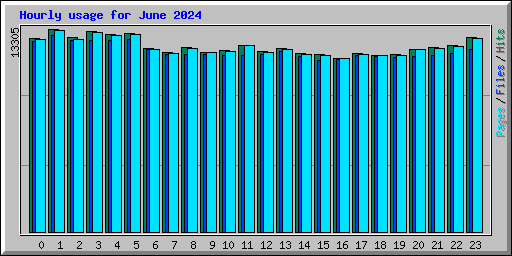 Hourly usage for June 2024