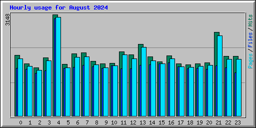 Hourly usage for August 2024
