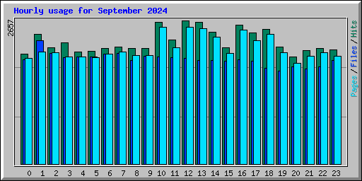 Hourly usage for September 2024
