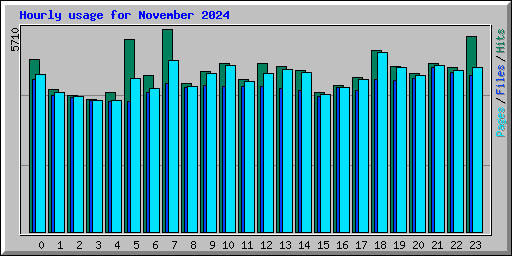 Hourly usage for November 2024