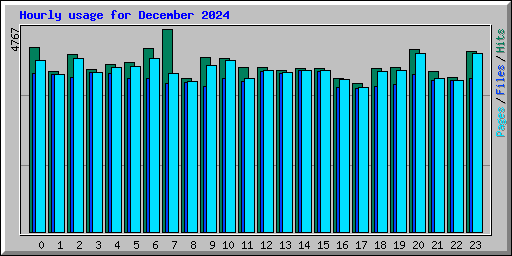 Hourly usage for December 2024