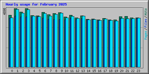 Hourly usage for February 2025