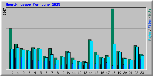 Hourly usage for June 2025